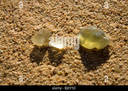 Des fragments de verre de silice sur le sol du désert dans un corridor interdunaires de La Grande Mer de Sable, au nord du plateau du Gilf Kebir, Egypte Banque D'Images