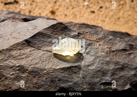 Des fragments de verre de silice sur le sol du désert dans un corridor interdunaires de La Grande Mer de Sable, au nord du plateau du Gilf Kebir, Egypte Banque D'Images