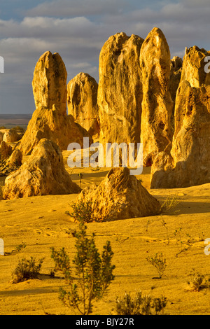 Les Pinnacles, le Parc National de Nambung, dans l'ouest de l'Australie. Les clochers de calcaire dans un désert de sable jaune. Banque D'Images