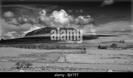 Slemish Mountain Banque D'Images