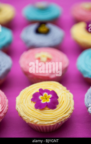 Cupcakes colorés et comestibles fleurs de printemps Banque D'Images