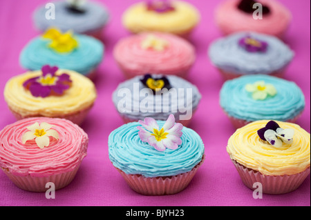 Cupcakes colorés et comestibles fleurs de printemps Banque D'Images