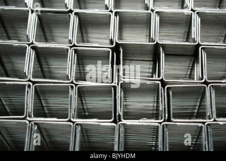 Macro lot de base Banque D'Images