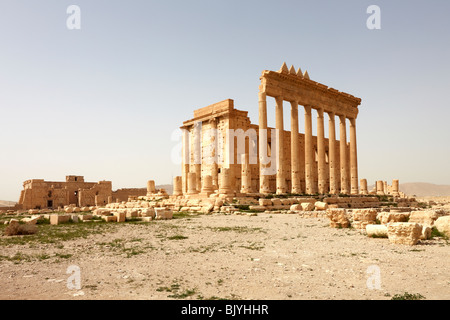 Palmyra Syrie le temple de Bel Banque D'Images
