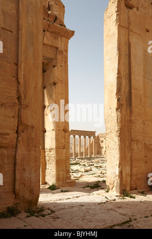 Palmyra Syrie le temple de Bel Banque D'Images