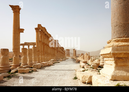 Palmyra Syrie Banque D'Images