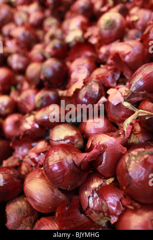 Oignons rouges, empilé par marché. Oignons, solide avec des peaux dans le bac dans une épicerie, ou ferme. Légume violet Banque D'Images