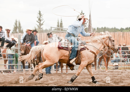 Calf roping au T'suu Tina rodeo, Bragg Creek, Alberta, Canada Banque D'Images