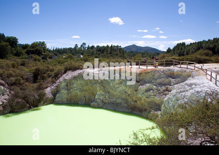 Devil's Bath est une construction robuste à double cratère rempli d'eau naturellement de couleur vert lime Nouvelle-zélande Banque D'Images