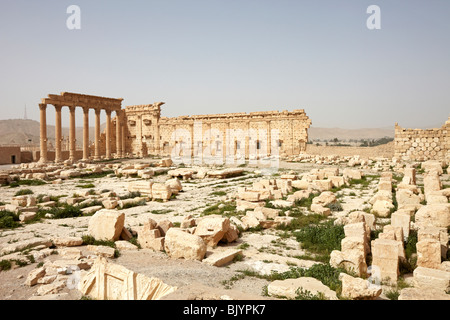 Palmyra Syrie le temple de Bel Banque D'Images