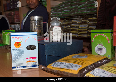 L'Inde, le Tamil Nadu, Udhagamandalam (Ooty), l'usine à thé, thé transformés emballés pour la vente au magasin d'usine Banque D'Images