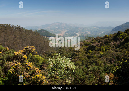 L'Inde, le Tamil Nadu, Udhagamandalam (Ooty), elevated view de Nilgiri de pentes du Pic Doddabetta Banque D'Images