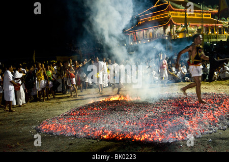 Marcher sur des charbons ardents. scènes de l'Étrange Festival Végétarien de Phuket. Banque D'Images