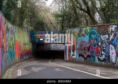 Métro Graffitied sur commune de Southampton, England, UK Banque D'Images