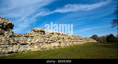 Le reste des murs de défense de pierre 2.8Km Calleva Atrebatum ville romaine à Silchester England UK Banque D'Images