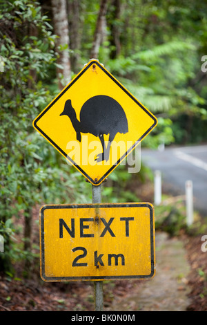 Cassowary panneau d'avertissement dans la Daintree, Queensland, Australie. Banque D'Images