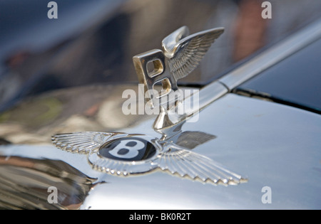 Logo sur l'avant de 1960 Bentley Continental, Londres Banque D'Images