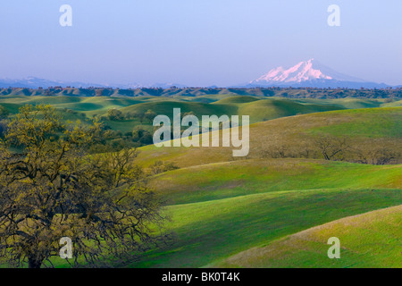 Le Mont Shasta couvert de neige au loin derrière les contreforts de la Vallée de Sacramento au printemps. Banque D'Images