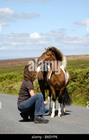 Femme avec des poneys Dartmoor Hill Banque D'Images