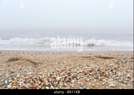 Lonely empreintes sur plage de sable Banque D'Images