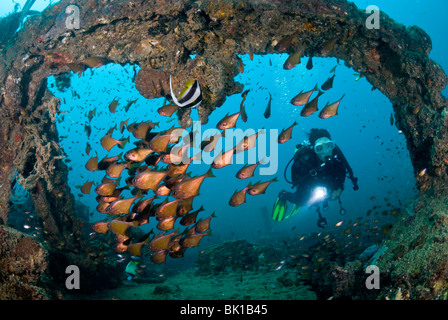 Exploration plongeur sous-Boonsoon épave, la Thaïlande, la mer d'Andaman Banque D'Images