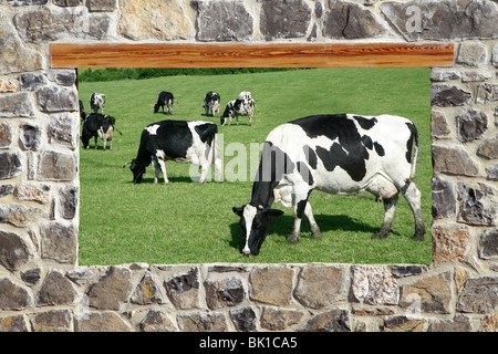 Fenêtre sur le pâturage des vaches mur de maçonnerie en pierre des prés Banque D'Images