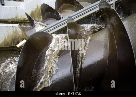 Pompes à vis du moteur de pompage "mitgemaal South-Holland Kinderlijk' dans,, Pays-Bas Banque D'Images