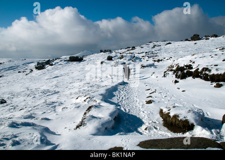 L'hiver sur le plateau du Scoutisme Kinder en hiver, au-dessus de Edale, Peak District, Derbyshire, Angleterre, RU Banque D'Images