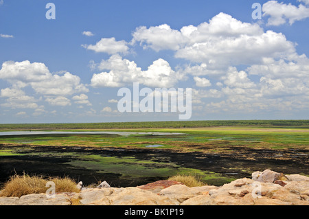 Le paysage sauvage et reculée de la plaine d'Ubirr à Nadab dans la liste de l'UNESCO Parc national de Kakadu, Territoire du Nord, Australie, haut de gamme Banque D'Images