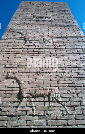 La porte d'Ishtar, Babylone, l'Iraq. Banque D'Images