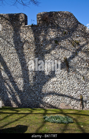 Vieux mur de ville, Winchester, Hampshire, Angleterre. Banque D'Images