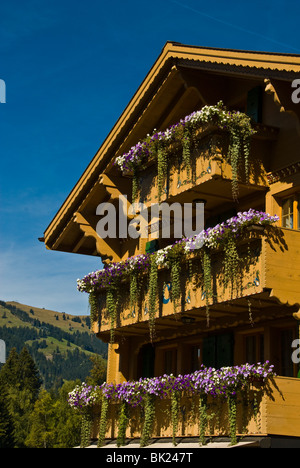 Maisons de ferme sur les hauteurs de Gstaad Suisse Banque D'Images