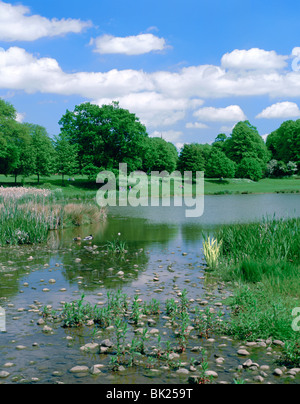 Abbaye de Kenilworth, Warwickshire Champs. Banque D'Images