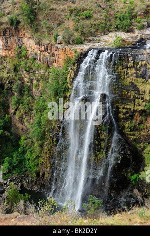 Chutes de Lisbonne près de Graskop dans la province de Mpumalanga, Afrique du Sud Banque D'Images