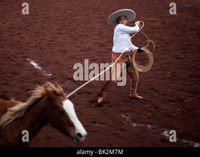 Un Charro mexicain des lassos un cheval qu'il participe à une Charrería, ou rodeo, le sport national du Mexique, à Texcoco, Mexique Banque D'Images