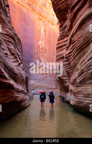 Backpackers randonnée dans Parunaweap narrows du canyon, la branche est du de la Vierge, près de limite de Zion NP, en Utah. Banque D'Images