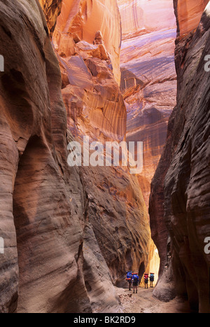 Randonnées le grès de Navajo narrows Buckskin Gulch dans le désert, canyons paria de l'Utah. Banque D'Images