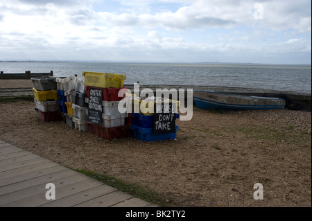 Recyclage d'huître sur front de mer de Whitstable Banque D'Images