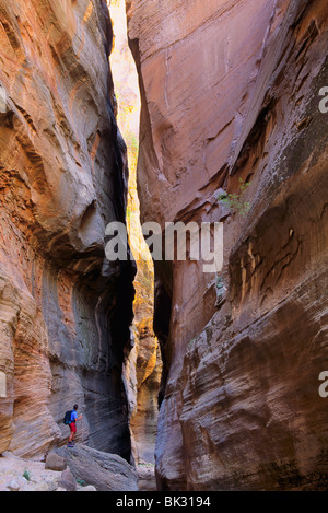 Randonnées dans les passes de Orderville Canyon juste au-dessus de la Zion Narrows dans Zion National Park, Utah. Banque D'Images