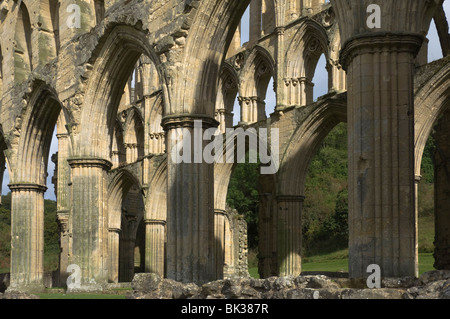 L'intérieur, 13e siècle, l'abbaye de Rievaulx, près de Helmsley, North Yorkshire, Angleterre, Royaume-Uni, Europe Banque D'Images