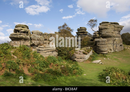 Brimham Rocks, Brimham Moor, près de Ripon, North Yorkshire, Angleterre, Royaume-Uni, Europe Banque D'Images