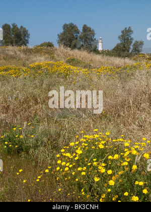 Le Parc archéologique de Paphos, Chypre Europe Banque D'Images