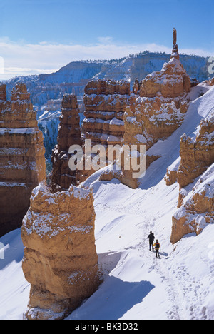 La raquette à neige au-dessous de Sunset Point sur le Navajo Loop Trail à Bryce Canyon National Park, Utah. Banque D'Images