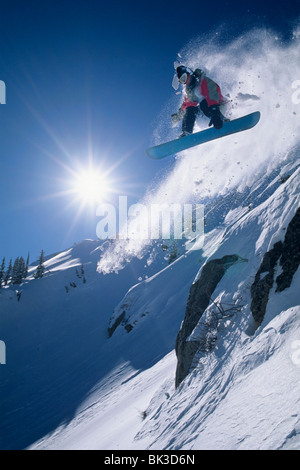 Snowboard dans Wolverine Bol, Big Cottonwood Canyon, les montagnes Wasatch, Utah Banque D'Images