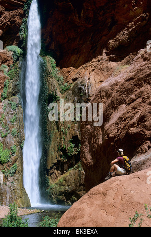 Deer Creek Falls le long de la rivière Colorado dans le Grand Canyon, le Parc National du Grand Canyon, Arizona. Banque D'Images