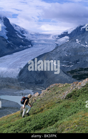 Randonnée sur la crête de Wilcox avec Glacier Athabasca à distance dans le parc national Jasper, Alberta, Canada. Banque D'Images