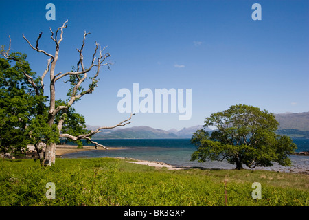 Le Loch Linnhe, Pap of Glencoe & Garbh Bheinn Banque D'Images