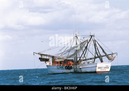 Bateau Bateau de pêche commerciale de la crevette (Debbie & Addison Corpus Christi au Texas) près de Dry Tortugas National Park dans les Florida Keys Banque D'Images