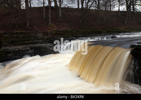 Aysgarth Falls et Yorkshire Dales, Yorkshire, Angleterre, ce sont les middle falls Banque D'Images