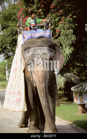 Jeune garçon qui monte sur un éléphant décoré avec de la peinture ou de la craie en Inde Banque D'Images